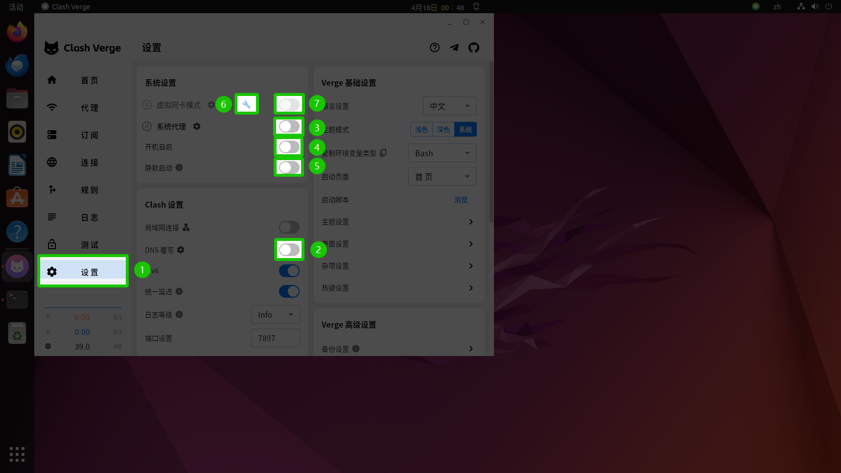 设置页面中的基础开关与虚拟网卡相关选项